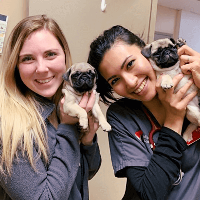2 women holding pug puppies