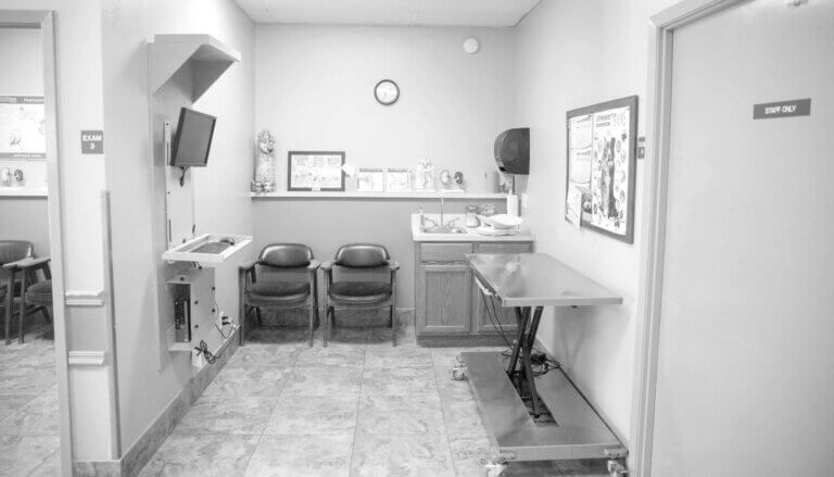 Emergency Care Center - Animal Emergency Clinic of Conroe